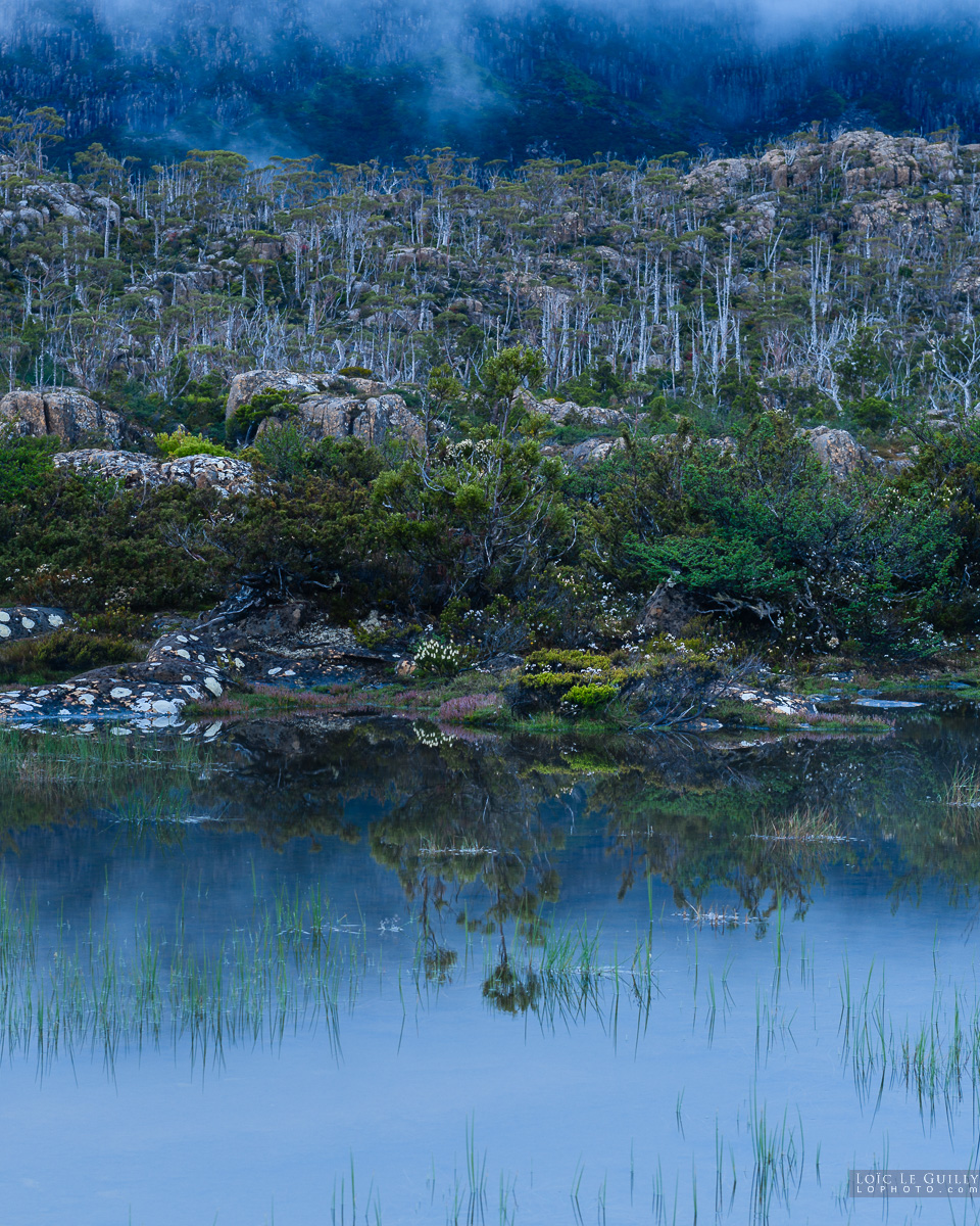 photograph of Alpine reflections